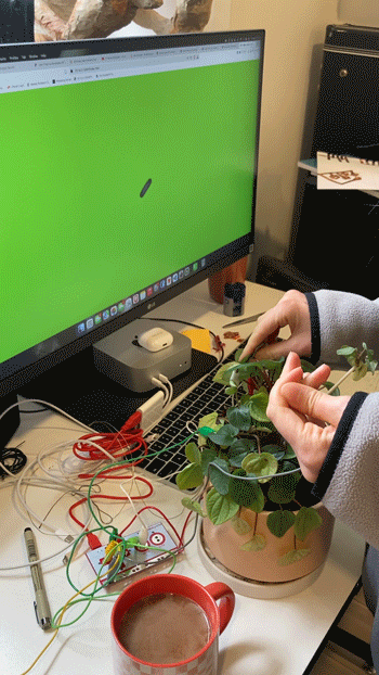 Continuing with using physical objects, I attached alligator clips to plant leaves.